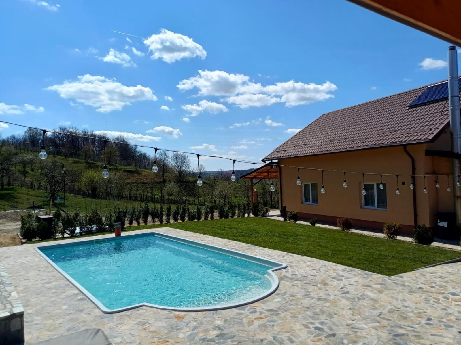 Casa De Vacanta Cu Piscina Incalzita&Jacuzzi Pietrari Esterno foto